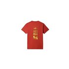 The north face foundation graphic tee s/s tandoori spice red t-shirt new hiki...