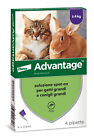 ADVANTAGE spot on 4 pipette per gatti super prezzo + spedizione gratuita!!