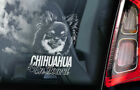 Chihuahua Car Sticker - Dog On Board Long Haired Window Bumper Decal Gift V6