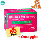 Nbf Lanes Ribes Pet Recovery 60 Perle per CANI e GATTI → Integratore Dermatite
