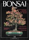 Bonsai & News N. 34 Marzo-Aprile 1996 Bonsai Acero Picea Suiseki Edera Da Talea