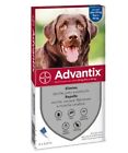 Advantix Spot On per cani oltre 25 kg 4 Fiale