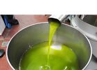 10 litri   Olio extravergine di oliva biologico siciliano nuova molitura   2022