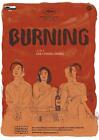 Burning - L amore brucia (DVD) Ah-in Yoo Steven Yeun Jong-seo Jun Joong-ok Lee