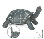 Tartaruga di terra modellino action figure di tartaruga di terra
