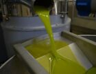 Olio Extravergine D oliva Biologico  5 Litri siciliano nuova molitura  2023/24