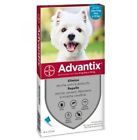 Advantix Spot per cani oltre 4 kg fino a 10 kg 4 Fiale