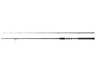 NEUF 2024 Canne Shimano Salty Advance 2.90m 2-Eléments Spinning Cannes