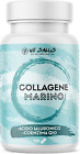 Collagene Marino Con Acido Ialuronico E Coenzima Q10, Integratore Di Marine Coll