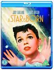 A Star Is Born [Blu-ray] [1954] [Region Free]