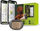 Kippy - GPS per Collare Cani E Gatti Evo - Tracker Salute E Attività - GPS Satel