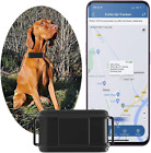 4G Collare GPS per Cani Da Caccia Localizzatore GPS Cani IP67 Impermeabile Mini
