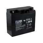 Batteria FIAMM Agm 12v 6v FG FGL FGH FGHL Piombo Ups Camper Allarme Fotovoltaico