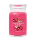 Candela a 2 stoppini Red Raspberry Yankee Candle 567g
