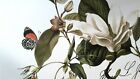 TOVAGLIA cerata ANTIMACCHIA A METRAGGIO COTONE  magnolie H180 MULTIPLI DI 50CM