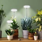 Lampada per piante a LED USB Lampada per crescita dimmerabile a spettro completo