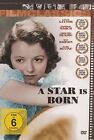 A Star Is Born - Ein Stern geht auf von William A. W... | DVD | Zustand sehr gut