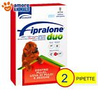 Fipralone DUO Cane 40-60 kg Tg. Gigante 2- 4- 6- 8- 12 pipette = Frontline Combo