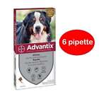 Advantix Bayer spot on pipette per cani oltre 40 kg 6 pipette gocce 40-60 kg