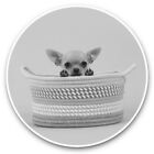 2 x Vinyl Stickers 15cm (bw) - Cute Brown Chihuahua Puppy Dog  #42755
