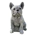 GDZTBS Statua di cane da giardino Ornamento Statua realistica in resina (R2K)