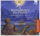 A WONDROUS MYSTERY  renaissance choral for christmas  STILE ANTICO / SACD hybrid