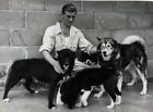 Foto vintage Inghilterra, Festival di cani husky, 1950, stampa 24x15 cm
