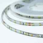 Bioledex LED Streifen 24V 12W/m 60LED/m 6000K IP65 5m Rolle tageslichtweiss