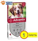 Advantix Bayer - Per cani da 10-25 kg - 1 / 4 / 6 / 8 / 12 / 16 pipette / oltre