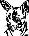Adesivo sticker Chihuahua Pretagliato