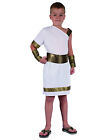 Costume combattente romano bambino - Cod.221956-P