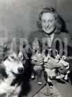 Foto vintage Animali, cinque cuccioli di husky, stampa 21 x 15 cm