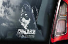 Chihuahua Car Sticker - Dog On Board Long Haired Window Bumper Decal Gift V4