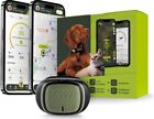 Kippy EVO - GPS Tracker Per Collare Cane o Gatto Salute e Attività - Localizzato