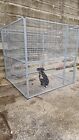 Box per cani di taglia media e grande, composto da recinto in rete zinc. a caldo