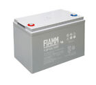 FIAMM 12FGL100  Batteria AGM 12V - 100Ah camper fotovoltaico solare
