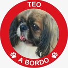 Adesivo Dog Cane A Bordo Con Foto Personalizzata Per Auto E Vetri