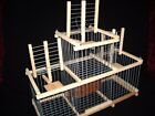Cage à Trois Trébuchet pour oiseaux + cage appelant