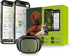 EVO - GPS Tracker per Collare Cane O Gatto Salute E Attività - Localizzatore Sat