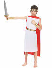 Costume eroe romano bambino - Cod.214571-P
