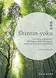 Shinrin-yoku. La teoria giapponese del bagno nella foresta per ritrovare il proprio equilibrio