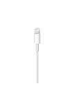 Apple Cavo da Lightning a USB 0,5m