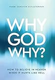 Why God Why? How to Believe In Heaven When It Hurts Like Hell
