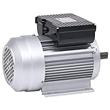 vidaXL Motore Elettrico Monofase Alluminio 2,2kW/3HP 2 Poli 2800 RPM Generico