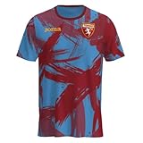 2023-2024 Torino Pre-Match Training Football Soccer T-Shirt Maglia
