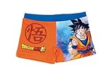 Dragon Ball Z Costume da Bagno per Ragazzi, Costume da Bagno per Bambino, Pantaloncini da Bagno Goku e Son Gohan, Asciugatura Rapida, Taglia 6 Anni, Arancia