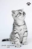 Libretto vaccinazioni gatti: Libretto sanitario cane | libretto vaccinazioni gatti | Permette di seguire le vaccinazioni e gli appuntamenti del veterinario