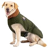 IREENUO Cappotto Cane,Impermeabile cappottino caloroso per cane per cani di taglia media e grande,Giacca invernale per cani con fibbia regolabile,XL