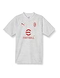 2023-2024 Milan Training Jersey (Grey)