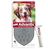 Advantix Spot-on Antiparassitario, Per Cani da 10 Kg a 25 Kg, Elimina zecche, pulci, pidocchi e larve di pulce, Protegge da zanzare, pappataci e rischio di leishmaniosi, 4 pipette da 2.5 ml